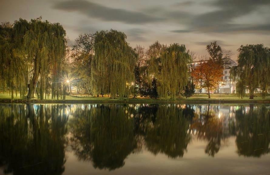Apartament Na Solnej Z Widokiem Kielce Dış mekan fotoğraf